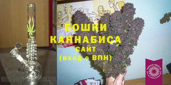 мдпв Верхний Тагил