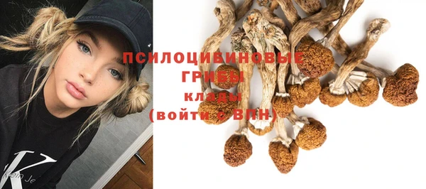 мдпв Верхний Тагил